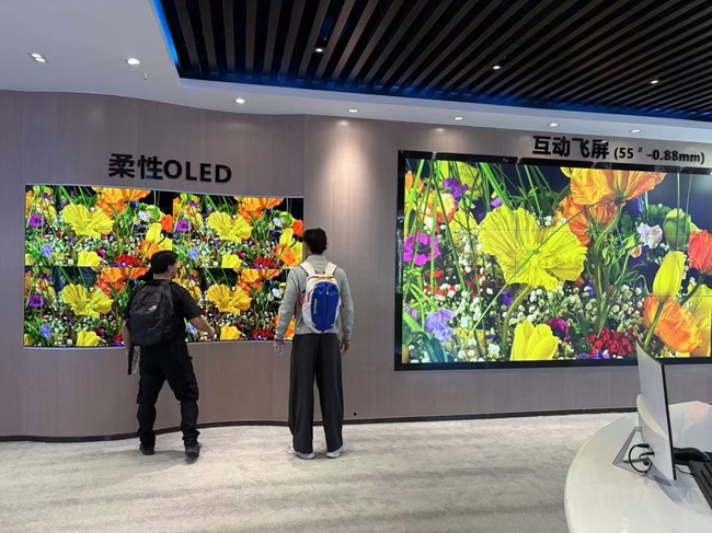 法国客户组团到华邦瀛学习LED显示屏维修的真实经历