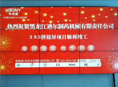 黑龙江迪尔制药有限公司拼接屏项目