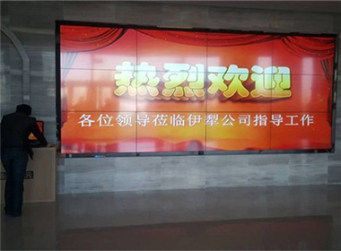 新疆伊犁国家电网有限公司拼接屏项目